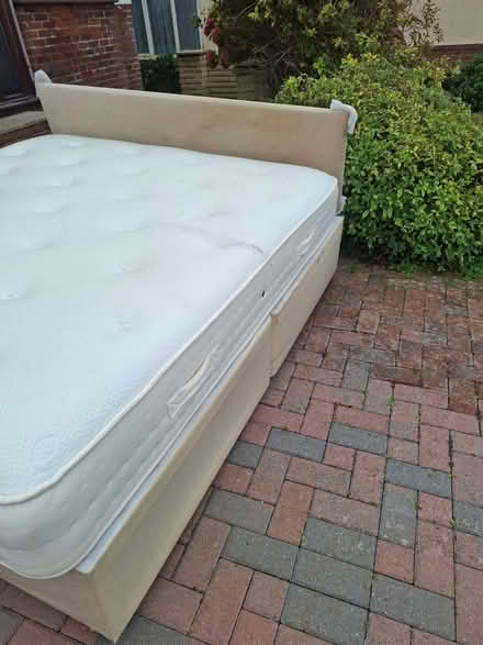 Photo of free King size bed (Saltdean BN2) #3