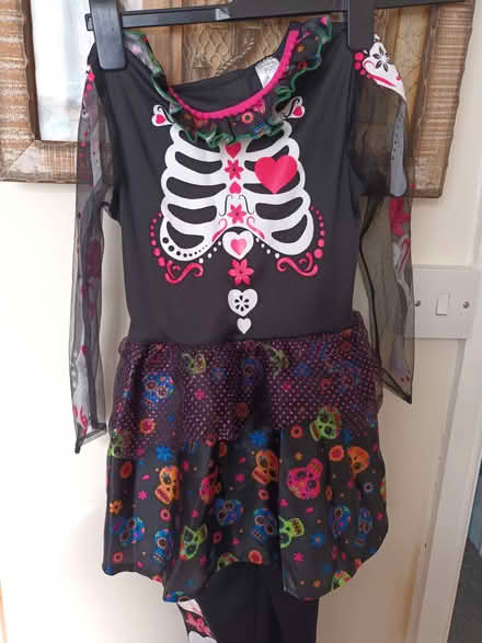 Photo of free Girl's Halloween Outfit (Herne Bay CT6) #2