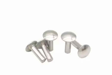 Photo of Stainless steel rivets (Mississauga Ontario Canada) #1