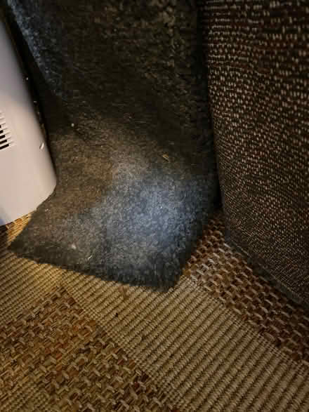 Photo of free Large dark grey Dunelm rug (East Challow OX12) #2