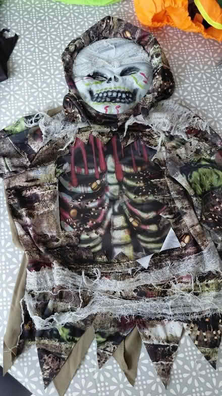 Photo of free Halloween costumes (Mayford GU22) #1