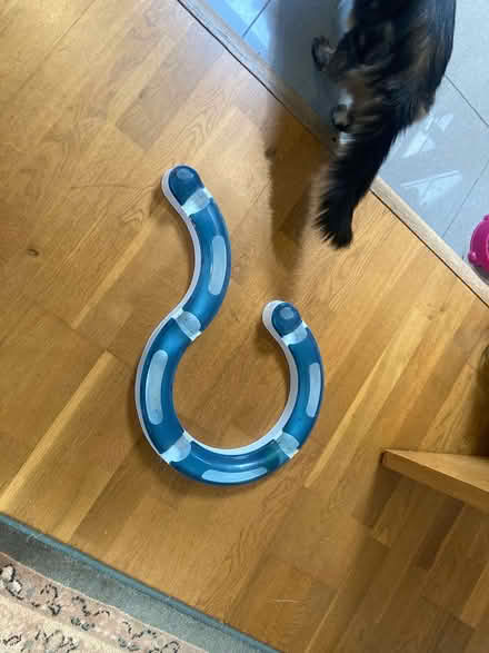 Photo of free Cat toy (Old Road OX3) #1