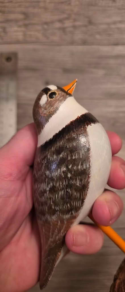 Photo of free Wooden Bird (West End, San Rafael) #1