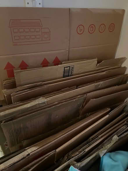 Photo of free Moving boxes (Mather Avenue L19) #1