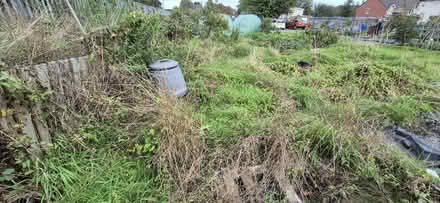 Photo of Anything for Our New Allotment (Stafford) #3