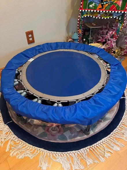 Photo of free Blue Mini Exercise Trampoline (Bascom & White Oaks - 95124) #1
