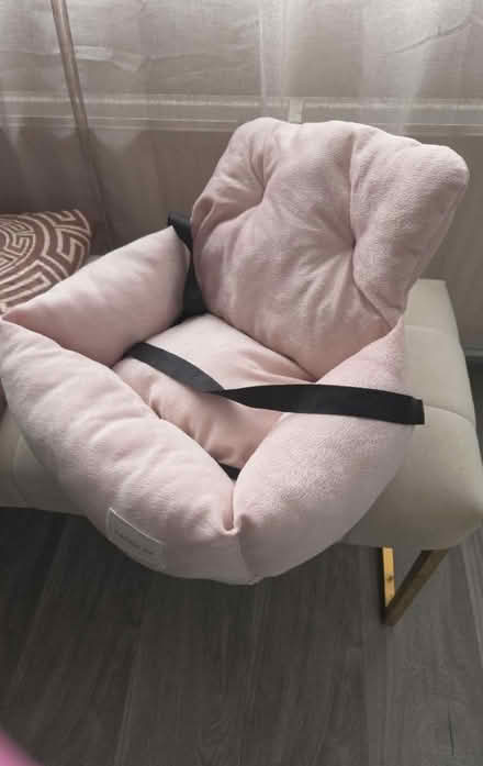 Photo of free X small dog car bed (Bilton rugby CV22) #2
