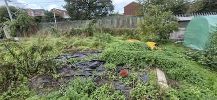 Photo of Anything for Our New Allotment (Stafford) #2
