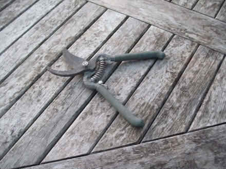 Photo of free Secateurs (Portslade by Sea BN3) #1