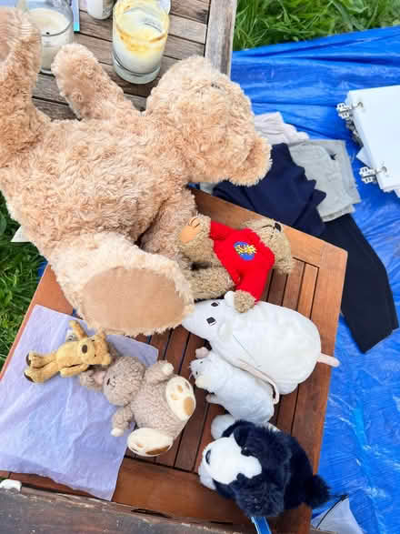 Photo of free Various items (Clyro HR3) #4