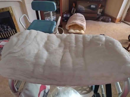 Photo of free Stuffing (Braintree near freeport CM7 3) #1