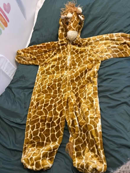 Photo of free Giraffe costume (Willington DE65) #1