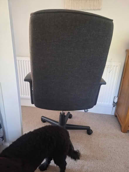Photo of free Office chair (Scarborough) #1