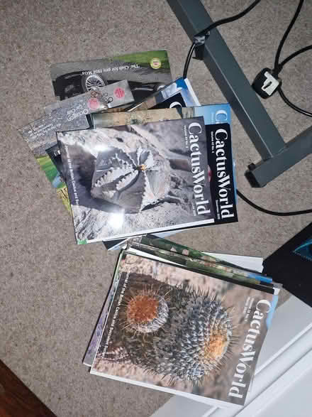 Photo of free Cactus World magazines (Coulsdon CR5) #1