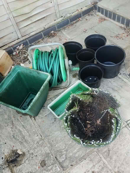 Photo of free Gardening items (Billericay CM4) #1