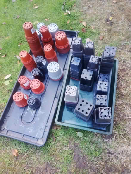 Photo of free Gardening items (Billericay CM4) #2
