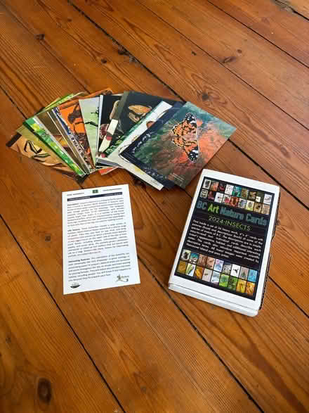 Photo of free Insect Art Cards (Dean EH4) #1