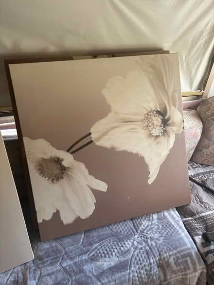Photo of free Set of three canvas (Earby BB18) #2