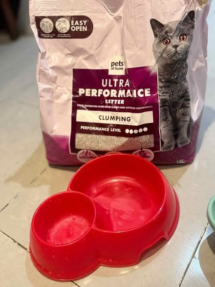 Photo of free Cat Supplies (Wembley and surrounding areas) #2
