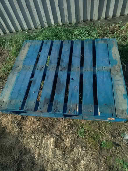Photo of free Old wooden pallet and engine oil (Cashes Green GL5) #1