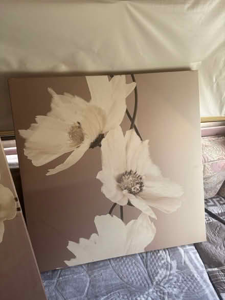 Photo of free Set of three canvas (Earby BB18) #1