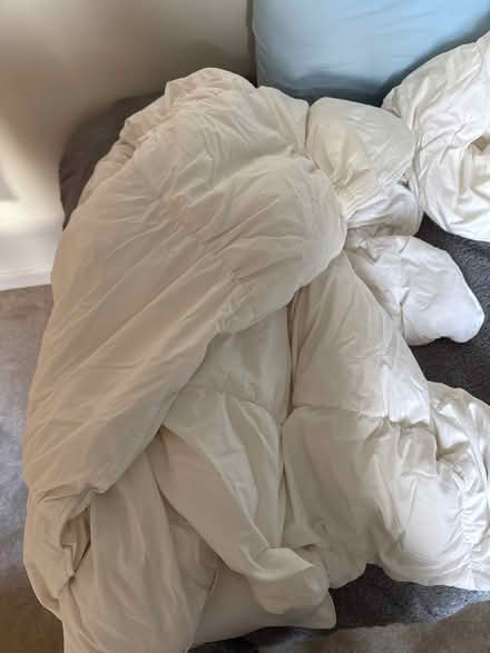 Photo of free Single Summer/Winter duvet (Taunton Fairwater District Ward TA2) #1