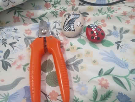 Photo of free Cat nail clipper and 2 painted rock (Peekskill, NY) #1