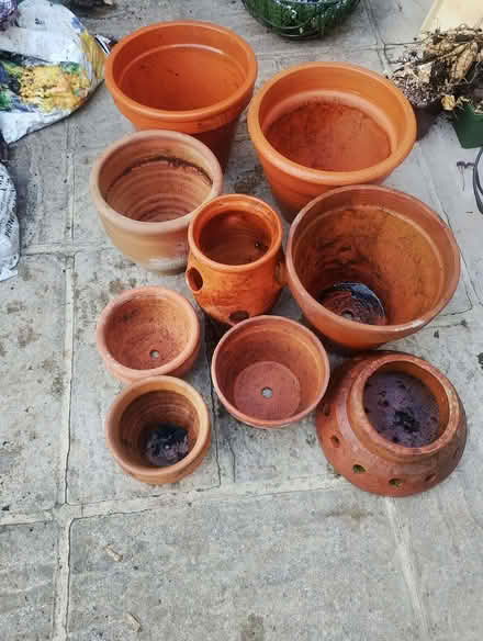 Photo of free Gardening items (Billericay CM4) #3