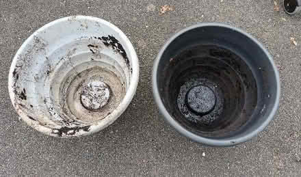 Photo of free Large planters (Hockley Port B18) #2