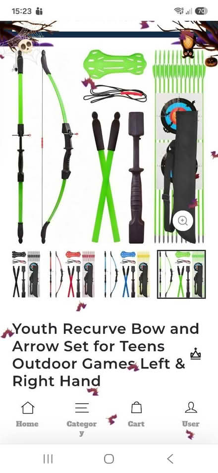 Photo of free Youth recurve bow and arrows set (Hanworth TW13) #1