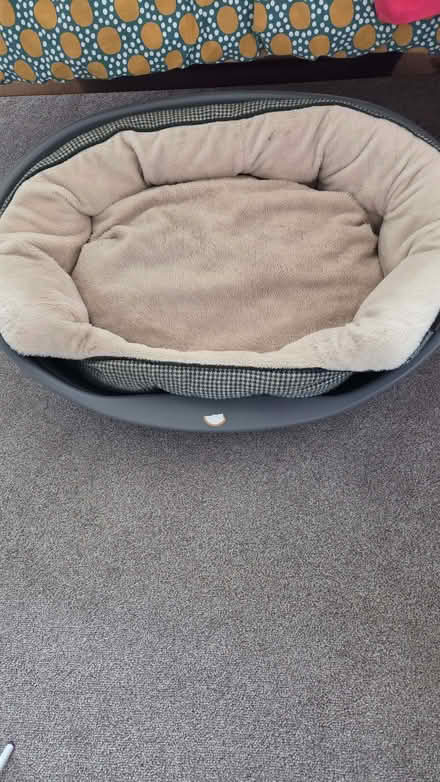 Photo of free Large dog beds (Carlisle CA1) #1