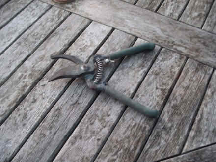 Photo of free Secateurs (Portslade by Sea BN3) #3