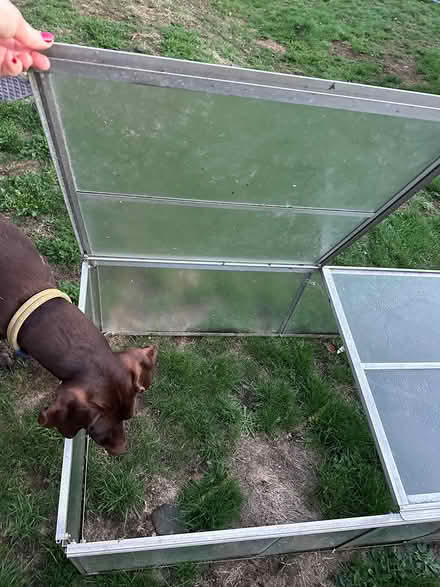 Photo of free Cold frame (Calverden TN4) #4