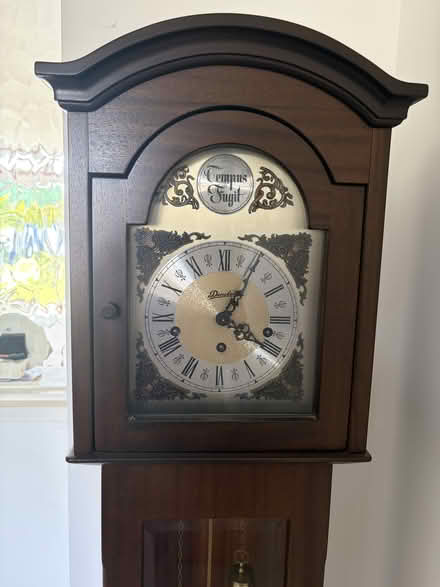 Photo of free Tempus Fugit Granddaughter clock (Petts Wood BR5) #1