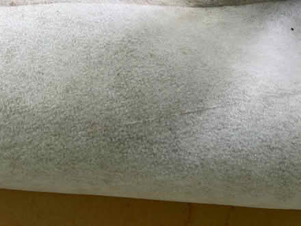 Photo of free Grey carpet (Cheltenham GL51) #3