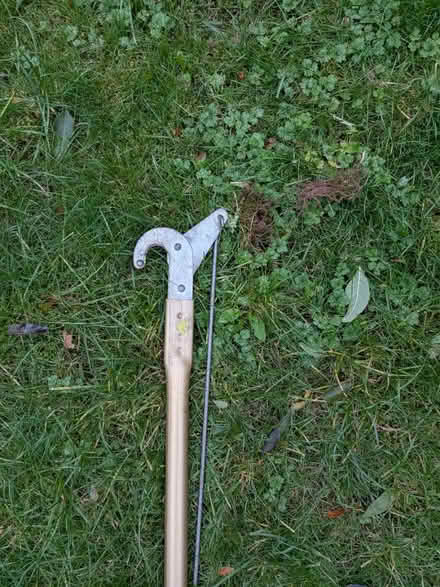 Photo of free Long handled pruner (Northfields W5) #2