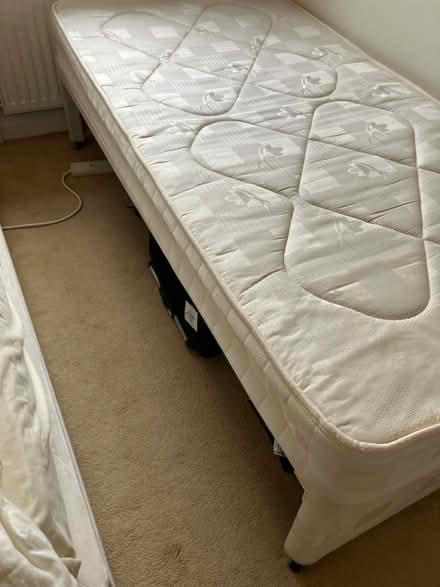 Photo of free Single Trundle bed (Loose Maidstone ME15) #3