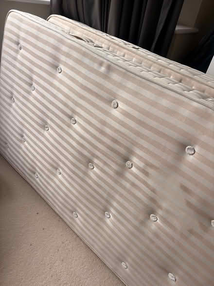 Photo of free Single bed, solid oak (Highgate N6 near Archway Road) #4