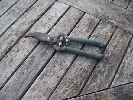 Photo of free Secateurs (Portslade by Sea BN3) #2