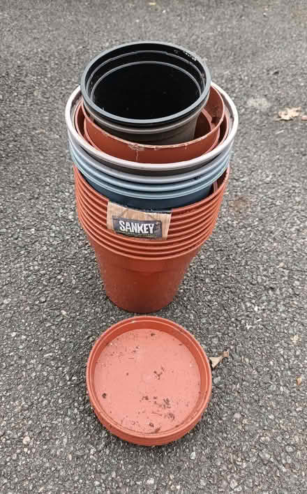 Photo of free Various pots (Hockley Port B18) #3