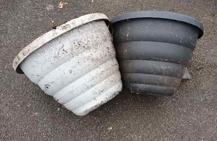 Photo of free Large planters (Hockley Port B18) #3