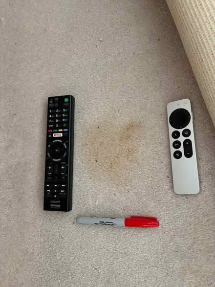 Photo of free Very Large Top Quality Wool Carpet Remnant with Stains (South Kensington SW3) #3