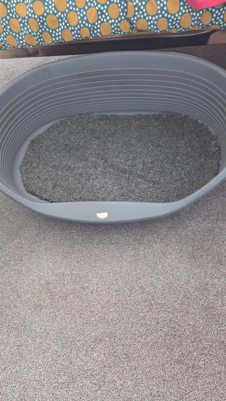 Photo of free Large dog beds (Carlisle CA1) #2