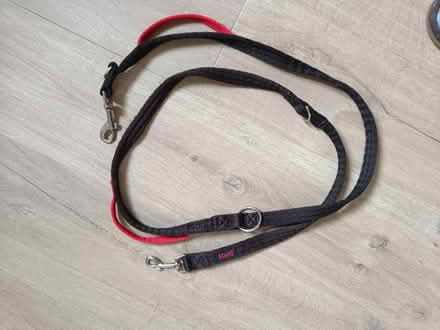 Photo of free Halti dog lead (Letchworth SG6) #1