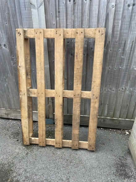 Photo of free Wooden Pallet for Bonfire Night (Peacehaven BN10) #1