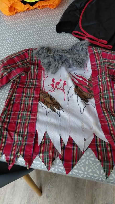 Photo of free Halloween costumes (Mayford GU22) #2