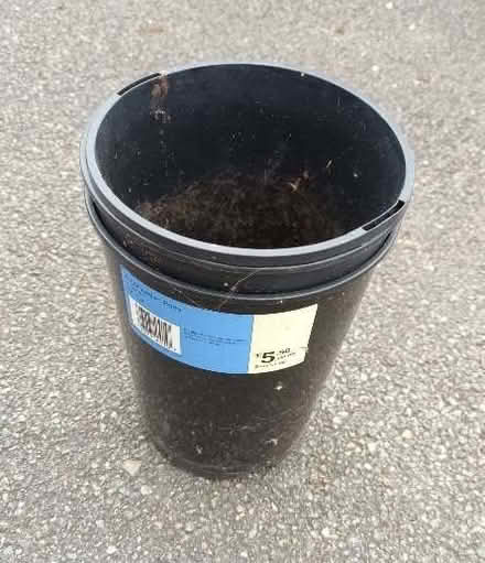 Photo of free Various pots (Hockley Port B18) #1