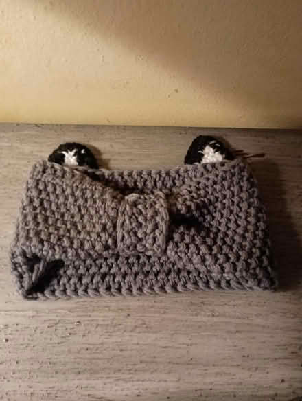 Photo of free Knitted headband (Greenwood near 83rd) #2