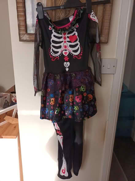 Photo of free Girl's Halloween Outfit (Herne Bay CT6) #1