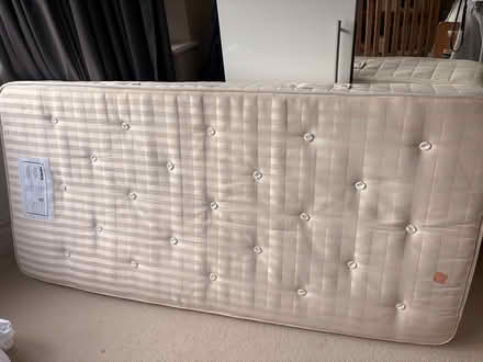 Photo of free Single bed, solid oak (Highgate N6 near Archway Road) #3